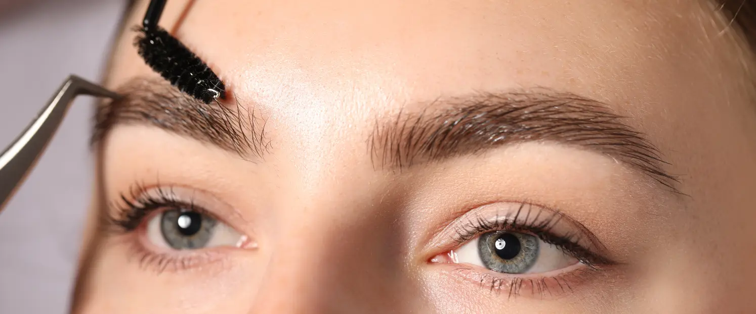Brows Chester